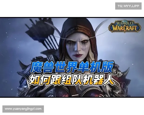 魔兽世界单机版：机器人组队秘籍大揭秘